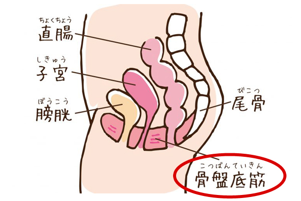 �S����ɂ��鍜�Ւ��